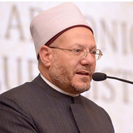 Shawki Ibrahim Abdel-Karim Allam